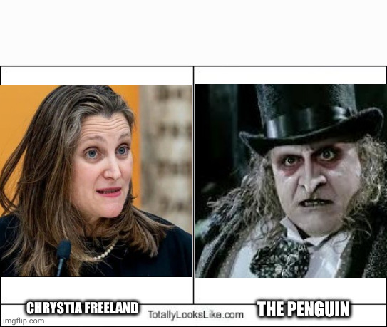 Totally Looks Like | CHRYSTIA FREELAND; THE PENGUIN | image tagged in totally looks like,AHomeForPlagueRatsCAN | made w/ Imgflip meme maker