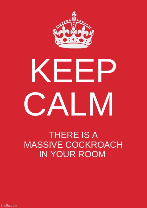 Keep Calm And Carry On Red Meme | KEEP CALM; THERE IS A MASSIVE COCKROACH IN YOUR ROOM | image tagged in memes,keep calm and carry on red,cockroach | made w/ Imgflip meme maker