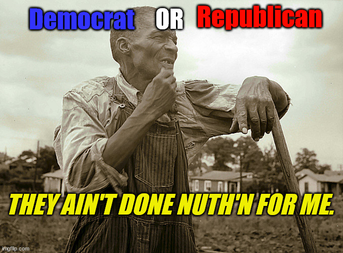 Pensive Colored Sharecropper | Republican THEY AIN'T DONE NUTH'N FOR ME. Democrat OR | image tagged in pensive colored sharecropper | made w/ Imgflip meme maker