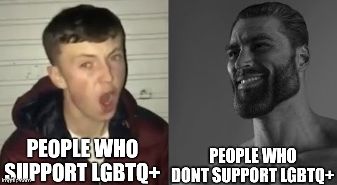 Average Enjoyer meme | PEOPLE WHO SUPPORT LGBTQ+ PEOPLE WHO DONT SUPPORT LGBTQ+ | image tagged in average enjoyer meme | made w/ Imgflip meme maker