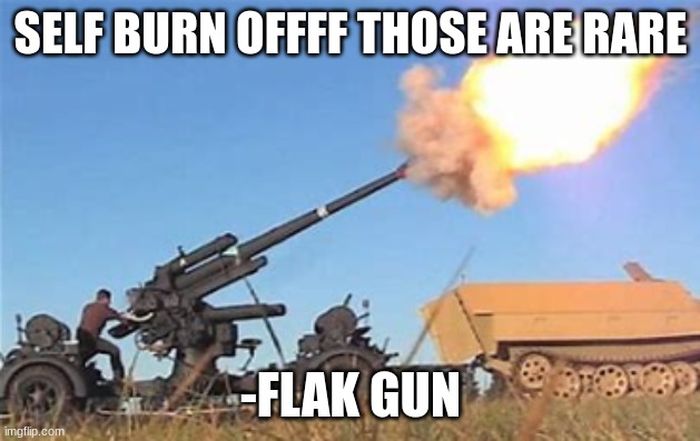 Flak gun | SELF BURN OFFFF THOSE ARE RARE -FLAK GUN | image tagged in flak gun | made w/ Imgflip meme maker