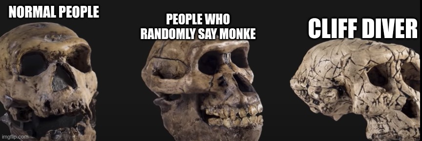 I dont expect to get any upvotes | NORMAL PEOPLE; CLIFF DIVER; PEOPLE WHO RANDOMLY SAY MONKE | image tagged in skeleton,idk,bored of this crap | made w/ Imgflip meme maker