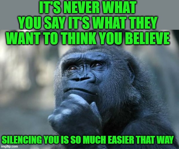 Deep Thoughts | IT'S NEVER WHAT YOU SAY IT'S WHAT THEY WANT TO THINK YOU BELIEVE SILENCING YOU IS SO MUCH EASIER THAT WAY | image tagged in deep thoughts | made w/ Imgflip meme maker