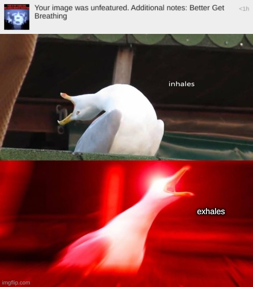 hes still a blue lego(#anti-eggstone/pixelite) | exhales | image tagged in inhaling bird meme | made w/ Imgflip meme maker