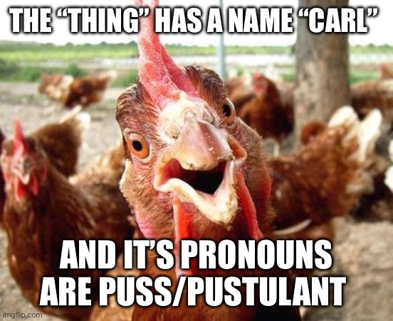 Chicken | THE “THING” HAS A NAME “CARL” AND IT’S PRONOUNS ARE PUSS/PUSTULANT | image tagged in chicken | made w/ Imgflip meme maker