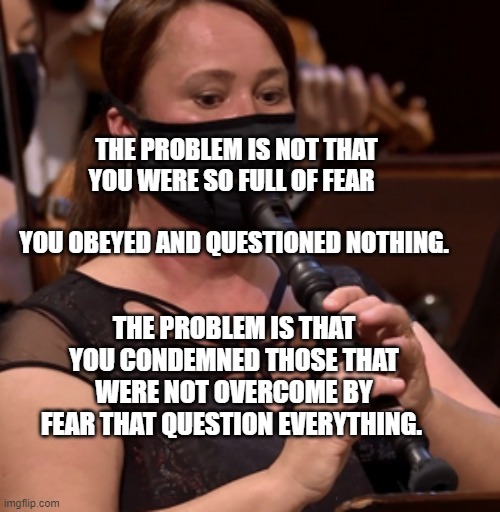 mask, flute, pleasure, music | THE PROBLEM IS NOT THAT YOU WERE SO FULL OF FEAR  
                              YOU OBEYED AND QUESTIONED NOTHING. THE PROBLEM IS THAT YOU CONDEMNED THOSE THAT WERE NOT OVERCOME BY FEAR THAT QUESTION EVERYTHING. | image tagged in mask flute pleasure music | made w/ Imgflip meme maker
