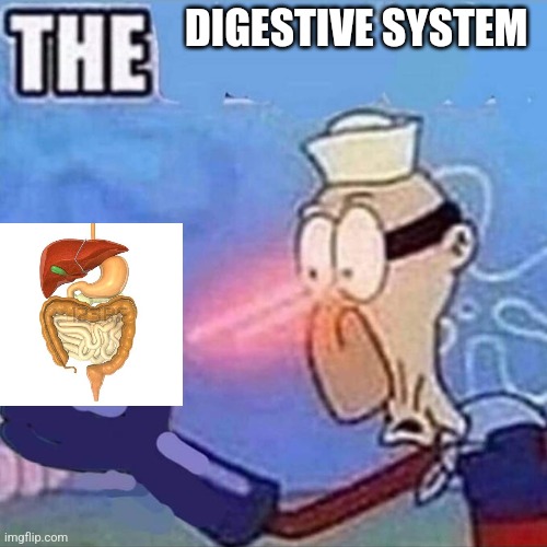 Eat | DIGESTIVE SYSTEM | image tagged in barnacle boy the | made w/ Imgflip meme maker