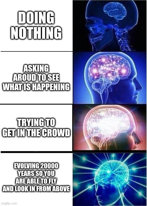 POV There is a crowd of people at school and you want to know what is happening | DOING NOTHING; ASKING AROUD TO SEE WHAT IS HAPPENING; TRYING TO GET IN THE CROWD; EVOLVING 20000 YEARS SO YOU ARE ABLE TO FLY AND LOOK IN FROM ABOVE | image tagged in memes,expanding brain | made w/ Imgflip meme maker