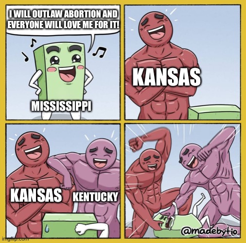 Guy getting beat up | I WILL OUTLAW ABORTION AND EVERYONE WILL LOVE ME FOR IT! MISSISSIPPI KANSAS KANSAS KENTUCKY | image tagged in guy getting beat up | made w/ Imgflip meme maker