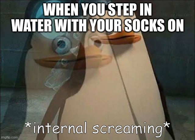 Private Internal Screaming | WHEN YOU STEP IN WATER WITH YOUR SOCKS ON | image tagged in private internal screaming | made w/ Imgflip meme maker