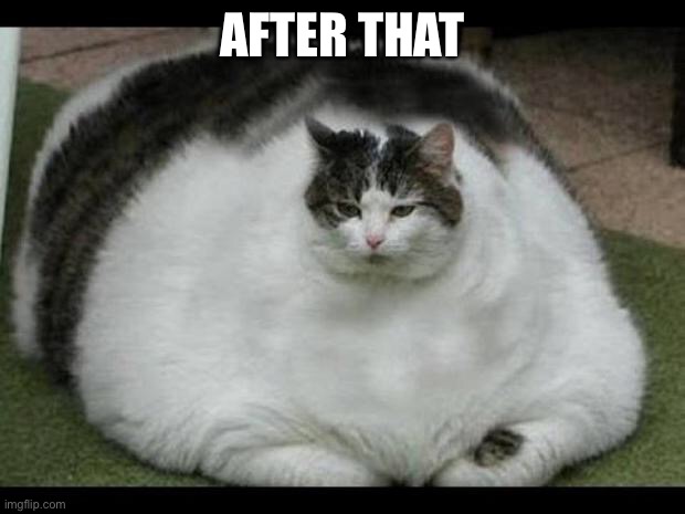 fat cat 2 | AFTER THAT | image tagged in fat cat 2 | made w/ Imgflip meme maker
