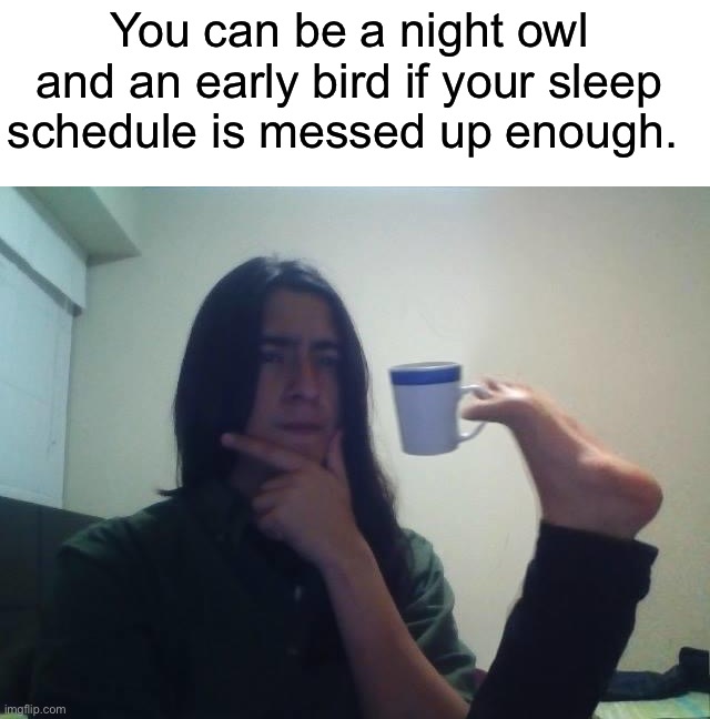I’m not wrong technically |  You can be a night owl and an early bird if your sleep schedule is messed up enough. | image tagged in hmmmm,memes,funny,relatable memes,sleep,tired | made w/ Imgflip meme maker