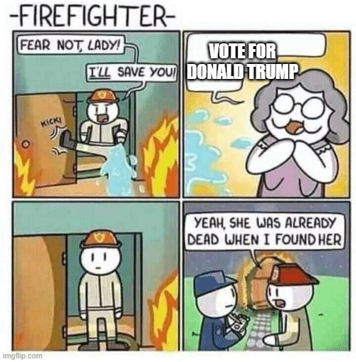Fear not lady, I'll save you | VOTE FOR DONALD TRUMP | image tagged in fear not lady i'll save you | made w/ Imgflip meme maker