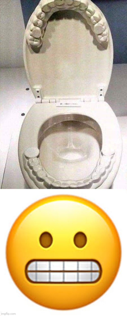 Cursed toilet | image tagged in cringe emoji,toilets,toilet,cursed image,memes,meme | made w/ Imgflip meme maker