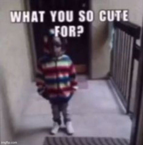 made w/ Imgflip meme maker