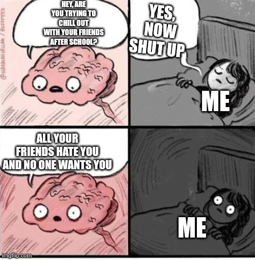 Trying to sleep | YES, NOW SHUT UP; HEY, ARE YOU TRYING TO CHILL OUT WITH YOUR FRIENDS AFTER SCHOOL? ME; ALL YOUR FRIENDS HATE YOU AND NO ONE WANTS YOU; ME | image tagged in trying to sleep | made w/ Imgflip meme maker