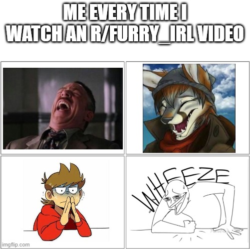 I'm not saying I'm a furry, but... (all images were obtained through Imgflip) | ME EVERY TIME I WATCH AN R/FURRY_IRL VIDEO | image tagged in memes,funny,furry,i'm not a furry but,laugh | made w/ Imgflip meme maker