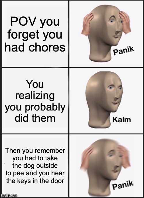 Hehe | POV you forget you had chores; You realizing you probably did them; Then you remember you had to take the dog outside to pee and you hear the keys in the door | image tagged in memes,panik kalm panik | made w/ Imgflip meme maker
