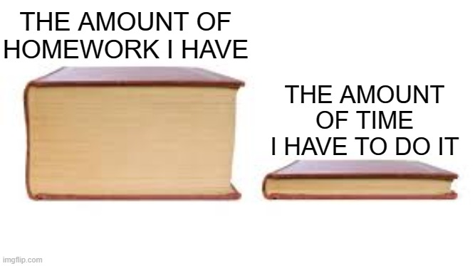 This is sad | THE AMOUNT OF HOMEWORK I HAVE; THE AMOUNT OF TIME I HAVE TO DO IT | image tagged in big book small book,homework,time | made w/ Imgflip meme maker