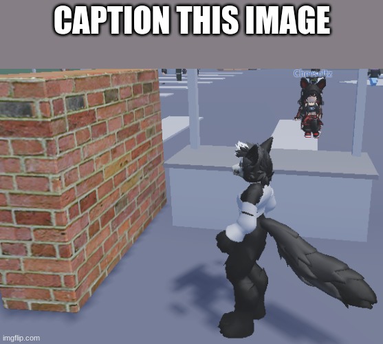 i had a lovely conversation with a brick wall in roblox earlier. | CAPTION THIS IMAGE | image tagged in talking to wall | made w/ Imgflip meme maker
