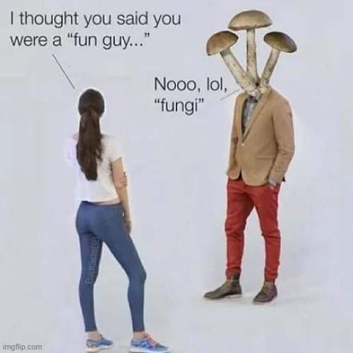 There's a Fungus Among US! | image tagged in vince vance,memes,mushroom,dating app,fungi,fungus | made w/ Imgflip meme maker