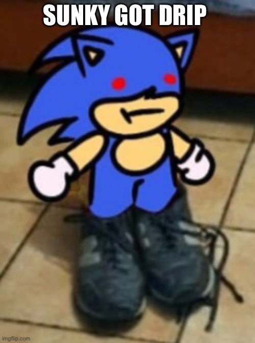 Drippin sunk | SUNKY GOT DRIP | image tagged in drippin sunk,sonic the hedgehog | made w/ Imgflip meme maker