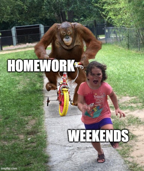 Orangutan chasing girl on a tricycle | HOMEWORK; WEEKENDS | image tagged in orangutan chasing girl on a tricycle | made w/ Imgflip meme maker
