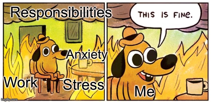 This Is Fine Meme | Responsibilities; Anxiety; Work; Stress; Me | image tagged in memes,this is fine | made w/ Imgflip meme maker