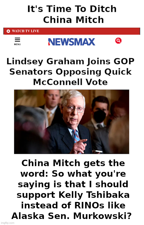 It's Time To Ditch China Mitch | image tagged in china mitch,mitch mcconnell,incompetent,rino,made in china | made w/ Imgflip meme maker