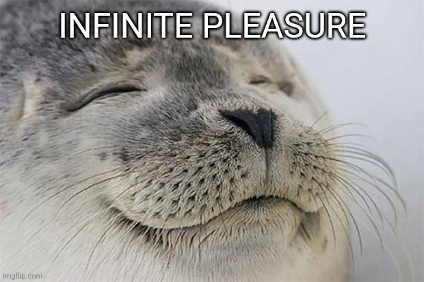 Satisfied Seal Meme | INFINITE PLEASURE | image tagged in memes,satisfied seal | made w/ Imgflip meme maker
