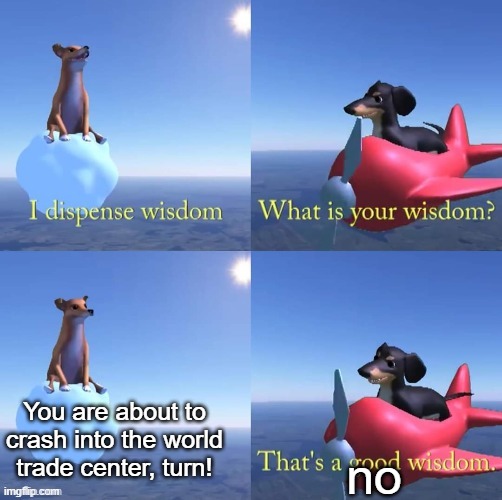 Wisdom dog | You are about to crash into the world trade center, turn! no | image tagged in wisdom dog | made w/ Imgflip meme maker