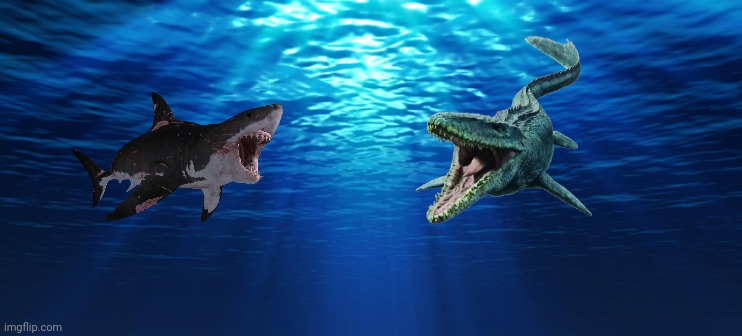 Ocean battle (Who would win, JW Mosasaurus or Megalodon) | image tagged in underwater ocean | made w/ Imgflip meme maker