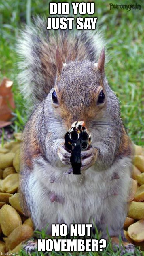 funny squirrels with guns (5) | DID YOU JUST SAY; NO NUT NOVEMBER? | image tagged in funny squirrels with guns 5 | made w/ Imgflip meme maker