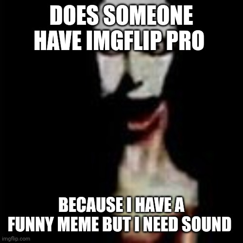 Literally me | DOES SOMEONE HAVE IMGFLIP PRO; BECAUSE I HAVE A FUNNY MEME BUT I NEED SOUND | image tagged in literally me | made w/ Imgflip meme maker