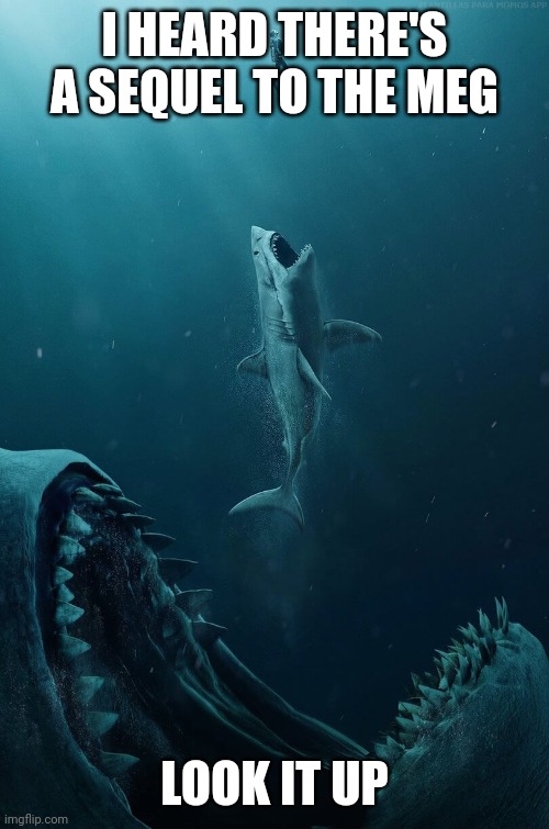 I'm not making this up | I HEARD THERE'S A SEQUEL TO THE MEG; LOOK IT UP | image tagged in megalodon | made w/ Imgflip meme maker