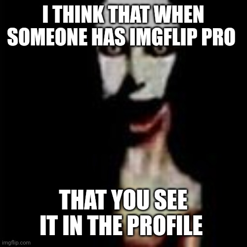 Literally me | I THINK THAT WHEN SOMEONE HAS IMGFLIP PRO; THAT YOU SEE IT IN THE PROFILE | image tagged in literally me | made w/ Imgflip meme maker
