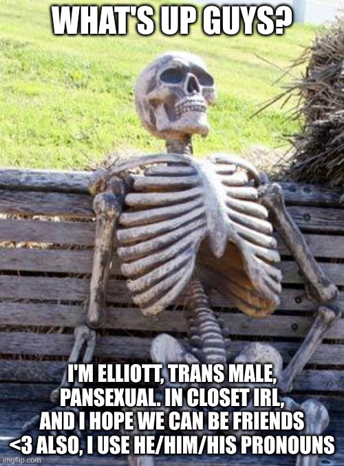 Hello! | WHAT'S UP GUYS? I'M ELLIOTT, TRANS MALE, PANSEXUAL. IN CLOSET IRL, AND I HOPE WE CAN BE FRIENDS <3 ALSO, I USE HE/HIM/HIS PRONOUNS | image tagged in memes,waiting skeleton | made w/ Imgflip meme maker
