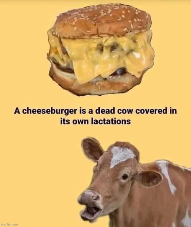 A cheeseburger is a dead cow | image tagged in a cheeseburger is a dead cow | made w/ Imgflip meme maker