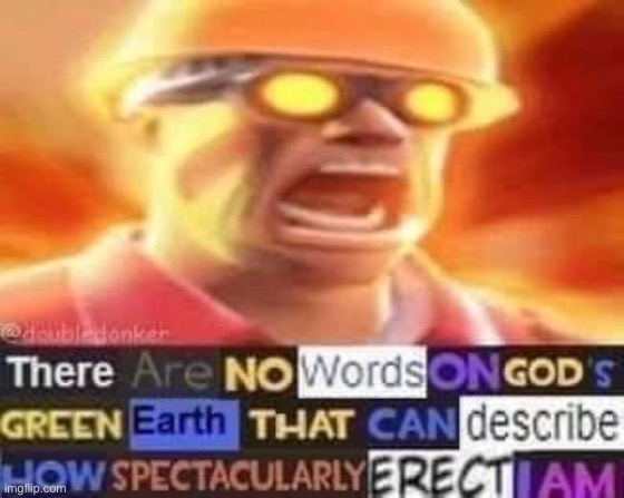 Spectacularly erect tf2 | image tagged in spectacularly erect tf2 | made w/ Imgflip meme maker