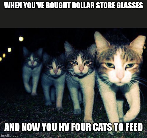 wrong neighborhood cats | WHEN YOU'VE BOUGHT DOLLAR STORE GLASSES; AND NOW YOU HV FOUR CATS TO FEED | image tagged in wrong neighborhood cats | made w/ Imgflip meme maker
