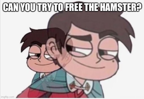 Marco Diaz | CAN YOU TRY TO FREE THE HAMSTER? | image tagged in marco diaz | made w/ Imgflip meme maker