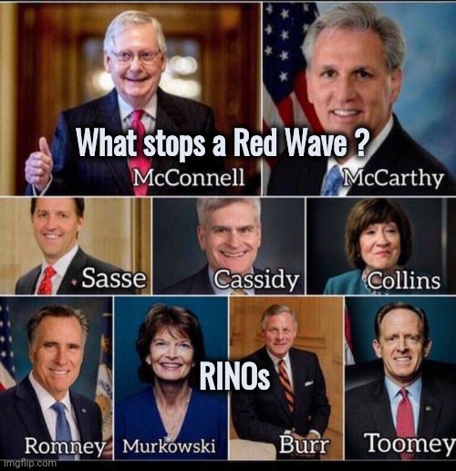 Birds of a feather sh*t together | What stops a Red Wave ? RINOs | image tagged in rinos fake republicans,election fraud,x x everywhere,who would win,see nobody cares,politicians suck | made w/ Imgflip meme maker