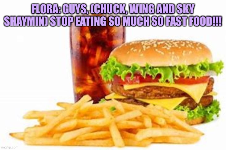 Flora: What are you guys doing?! | FLORA: GUYS, (CHUCK, WING AND SKY SHAYMIN) STOP EATING SO MUCH SO FAST FOOD!!! | image tagged in fast food,eating | made w/ Imgflip meme maker