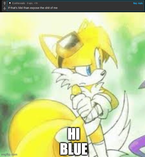 HI BLUE | image tagged in tailsko | made w/ Imgflip meme maker