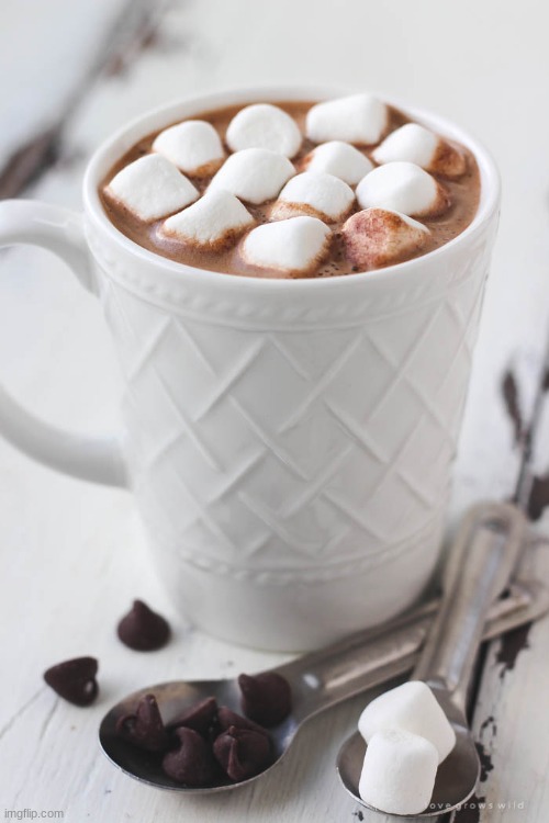 Win Hot Chocolate Maker
