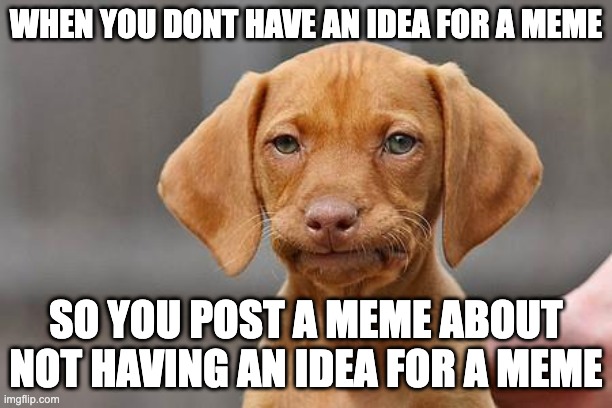 Me evry day | WHEN YOU DONT HAVE AN IDEA FOR A MEME; SO YOU POST A MEME ABOUT NOT HAVING AN IDEA FOR A MEME | image tagged in dissapointed puppy,relatable | made w/ Imgflip meme maker