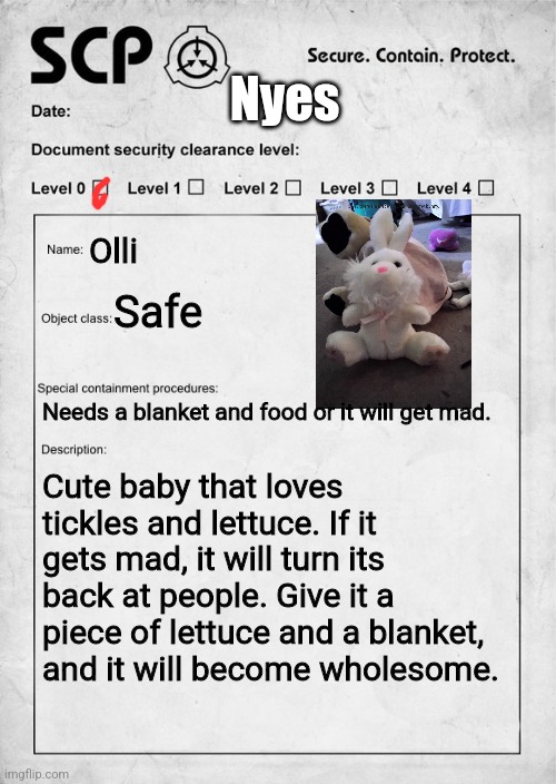 SCP document | Nyes; Olli; Safe; Needs a blanket and food or it will get mad. Cute baby that loves tickles and lettuce. If it gets mad, it will turn its back at people. Give it a piece of lettuce and a blanket, and it will become wholesome. | image tagged in scp document | made w/ Imgflip meme maker