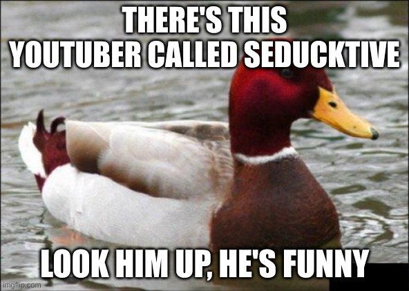 He's awesome and he takes his duck places | THERE'S THIS YOUTUBER CALLED SEDUCKTIVE; LOOK HIM UP, HE'S FUNNY | image tagged in memes,malicious advice mallard | made w/ Imgflip meme maker