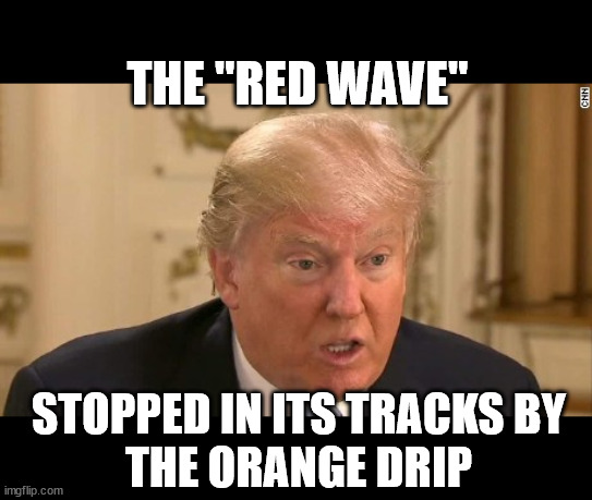 Trump Stupid Face | THE "RED WAVE"; STOPPED IN ITS TRACKS BY
THE ORANGE DRIP | image tagged in trump stupid face | made w/ Imgflip meme maker
