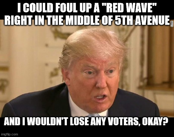 Still Teflon, Donny? | I COULD FOUL UP A "RED WAVE" RIGHT IN THE MIDDLE OF 5TH AVENUE; AND I WOULDN'T LOSE ANY VOTERS, OKAY? | image tagged in trump stupid face | made w/ Imgflip meme maker